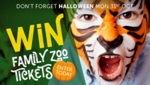 Halloween Competition 2022